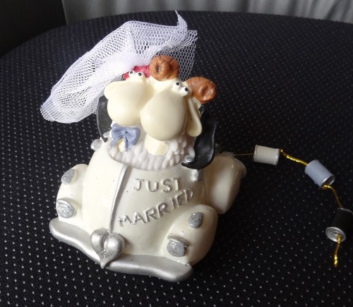 Brautpaar spardose polly und - spardose,