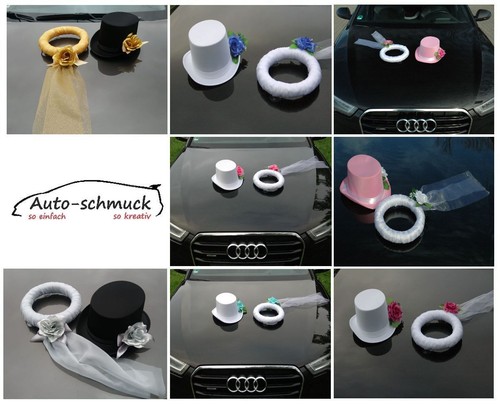 Schleier und hut auto - schleier,